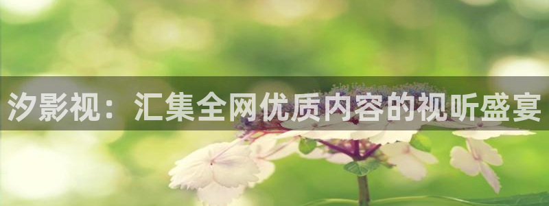 午夜高清网站：汐影视：汇集全网优质内容的视听盛宴