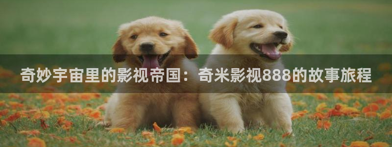 秋霞电影网午夜三级韩国：奇妙宇宙里的影视帝国：奇米影视888的故事旅程