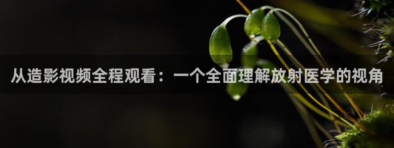 97午夜电影版：从造影视频全程观看：一个全面理解放射医学的视角
