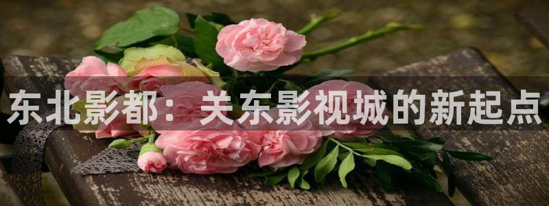 韩国午夜剧场在线观看