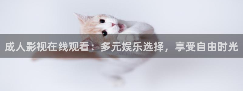 神马午夜电影我不卡