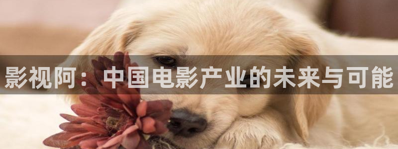 6699午夜电影：影视阿：中国电影产业的未来与可能