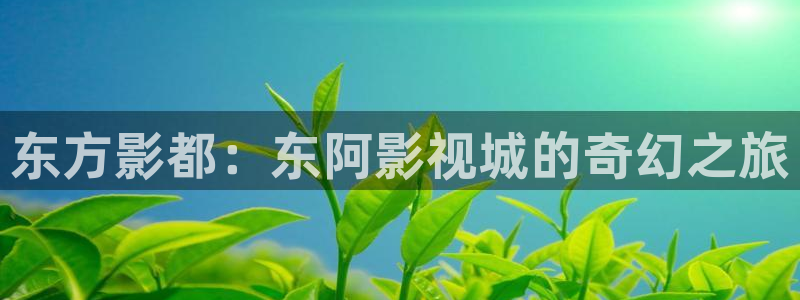 午夜 理伦电影