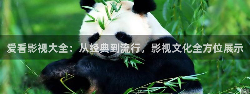 达达兔电影网午夜：爱看影视大全：从经典到流行，影视文化全方位展示