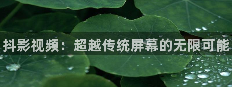 神马最新午夜电影：抖影视频：超越传统屏幕的无限可能