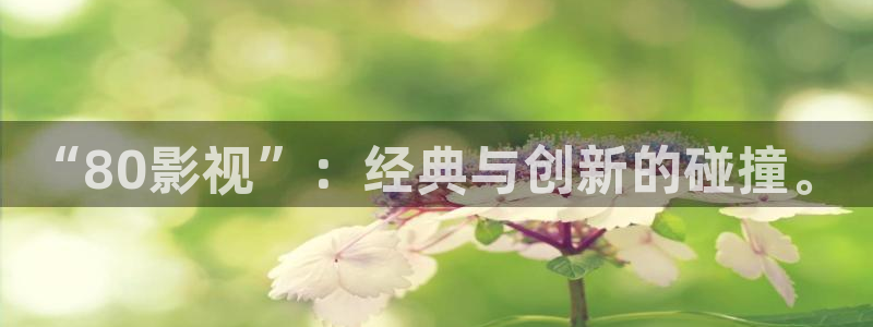 dy888午夜影视：“80影视”：经典与创新的碰撞。