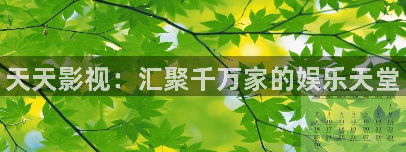 琪琪影院午夜伦理：天天影视：汇聚千万家的娱乐天堂