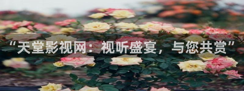 神马影院午夜不卡：“天堂影视网：视听盛宴，与您共赏”