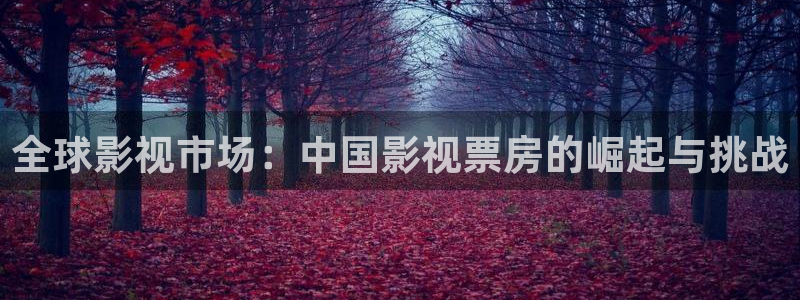 午夜电影网国产精品：全球影视市场：中国影视票房的崛起与挑战